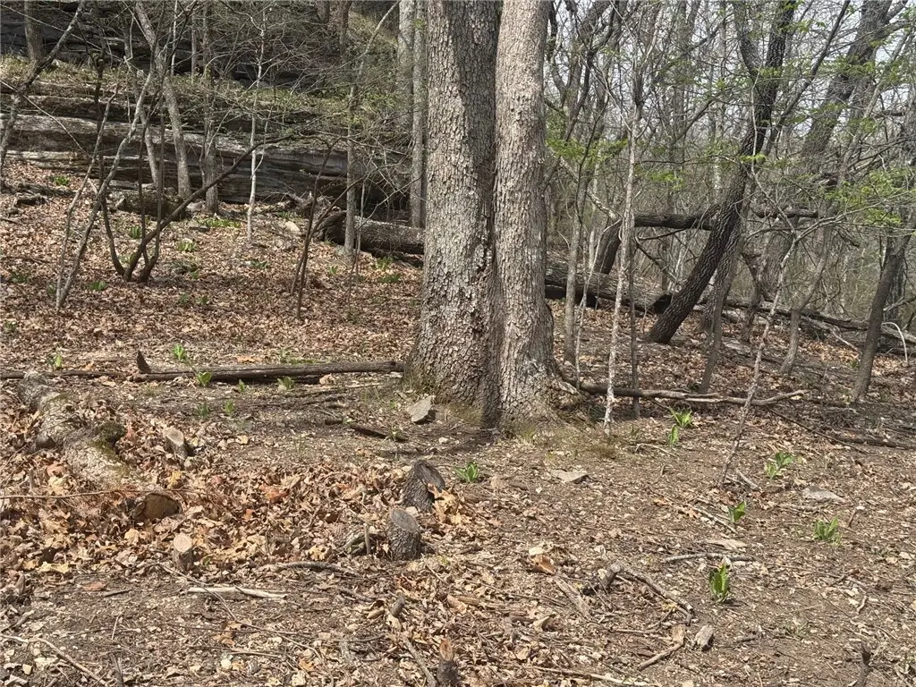 Lot 35 Dogwood Drive, Garfield, AR 72732 - #1