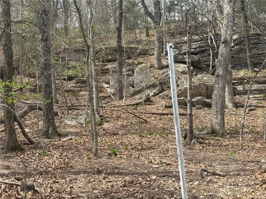 Lot 35 Dogwood Drive, Garfield, AR 72732 - #2
