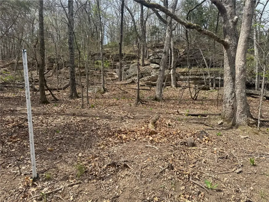 Lot 35 Dogwood Drive, Garfield, AR 72732 - #3