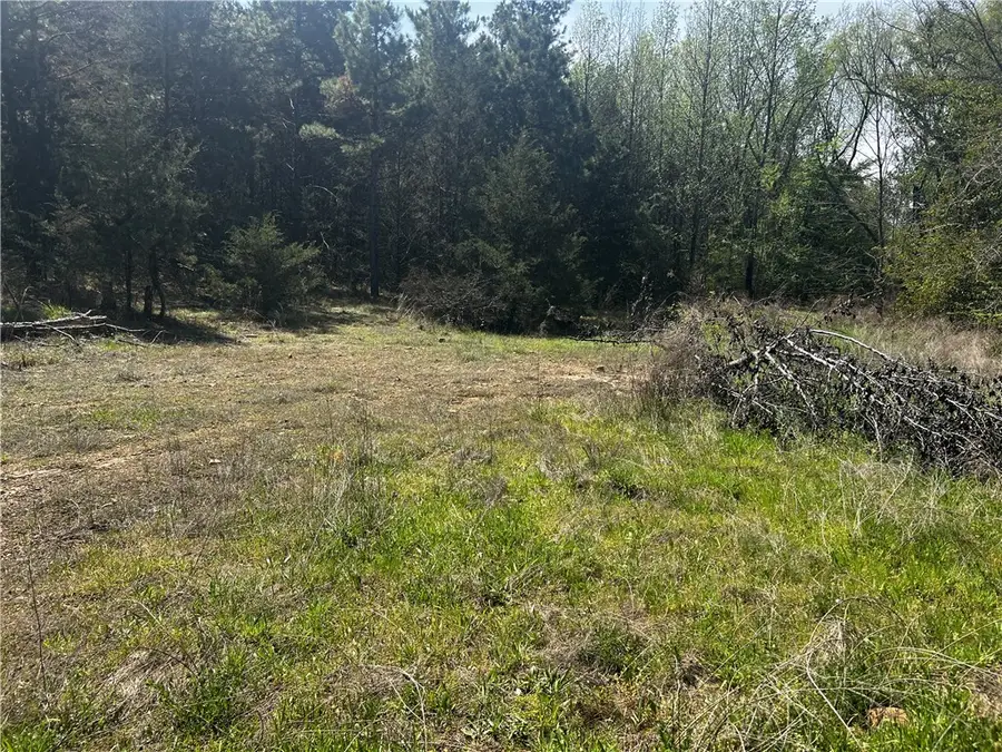 3305 N Jackson Avenue, Russellville, AR 72802 - #2