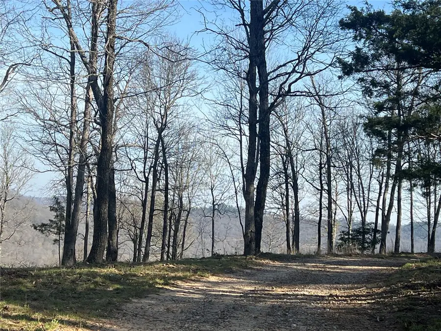 TBD-I Nc 6827, Jasper, AR 72641 - #2