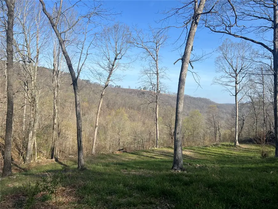 TBD-H Nc 6827, Jasper, AR 72641 - #2