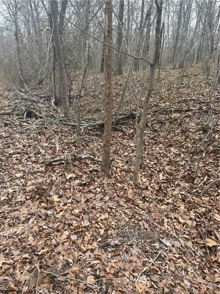 Belgravia Drive #Lot 5 Block 3, Bella Vista, AR 72715 - #2