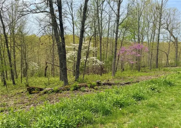 Lot 3 Halladale Lane, Bella Vista, AR 72715