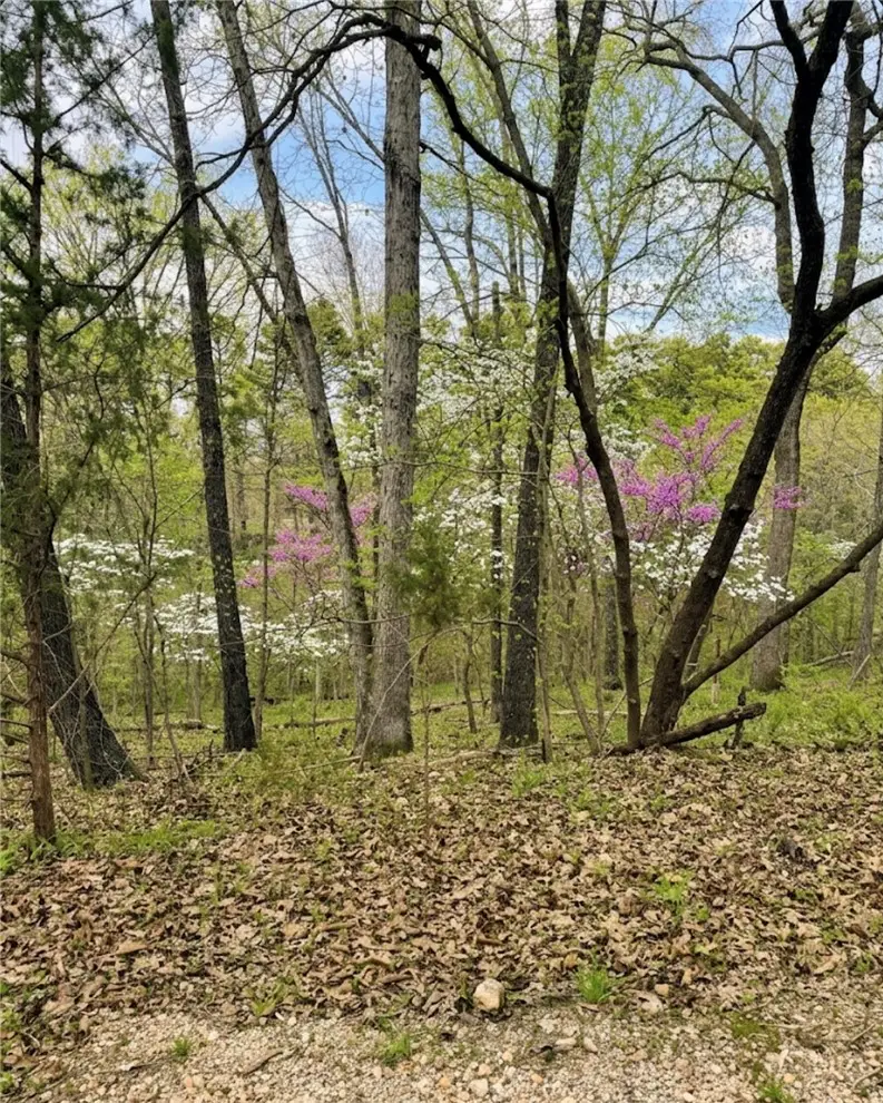 Lot 16 Bedlington Lane, Bella Vista, AR 72714 - #2