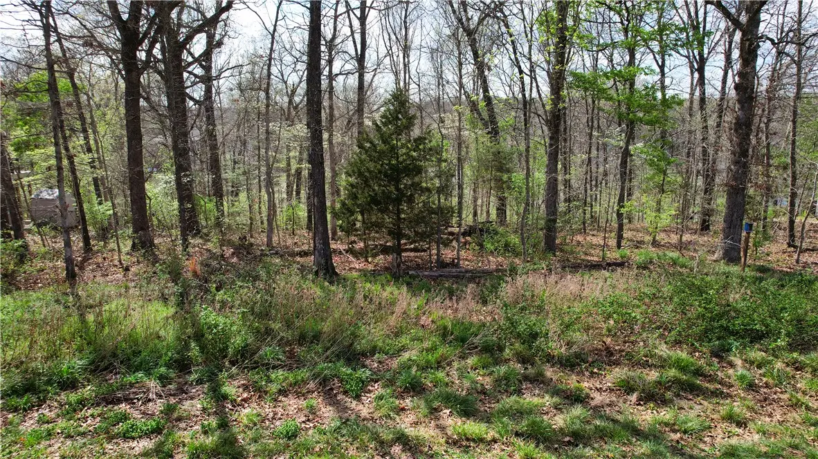 Lot 12 Stucky Lane, Bella Vista, AR 72715 - #1