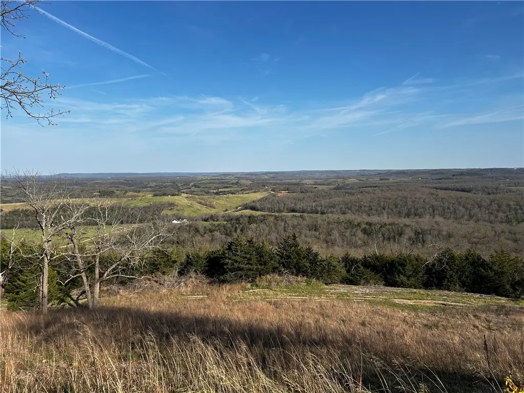 47 AC N 281 Highway, Lead Hill, AR 72644 - #1