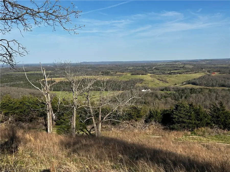 47 AC N 281 Highway, Lead Hill, AR 72644 - #3
