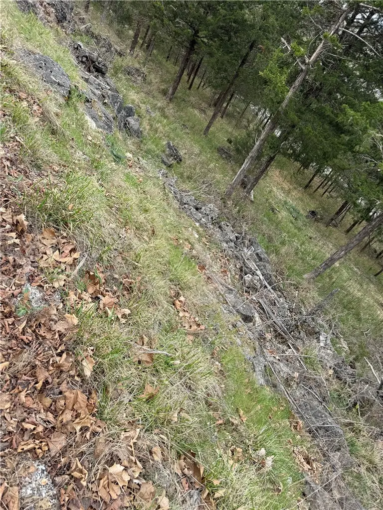 9 Quailrun Lane, Holiday Island, AR 72631 - #2