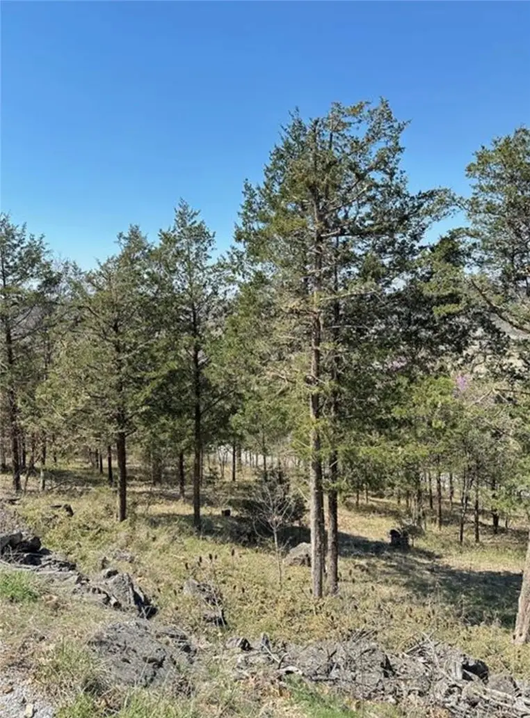 9 Quailrun Lane, Holiday Island, AR 72631 - #3