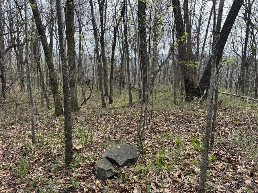 000 Nc 5083, Mount Judea, AR 72655 - #2