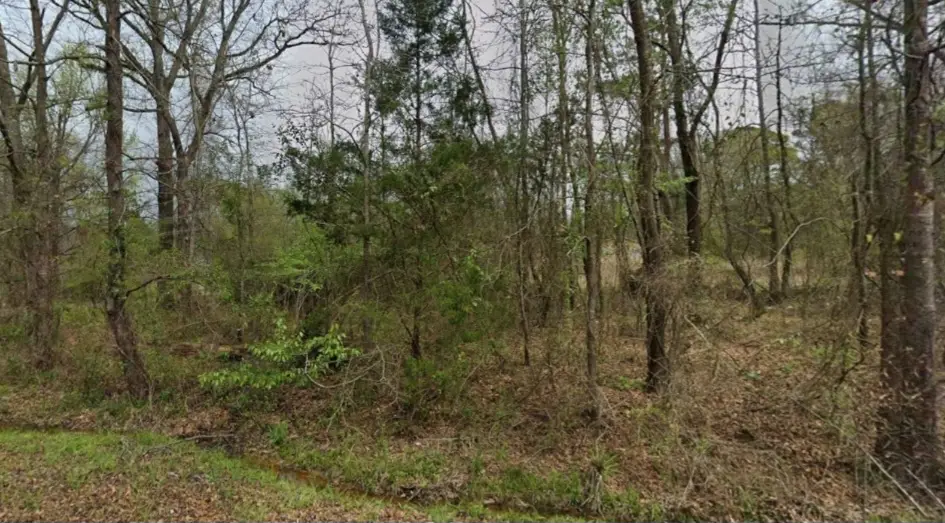 520 Oklahoma Street, Camden, AR 71701 - #1