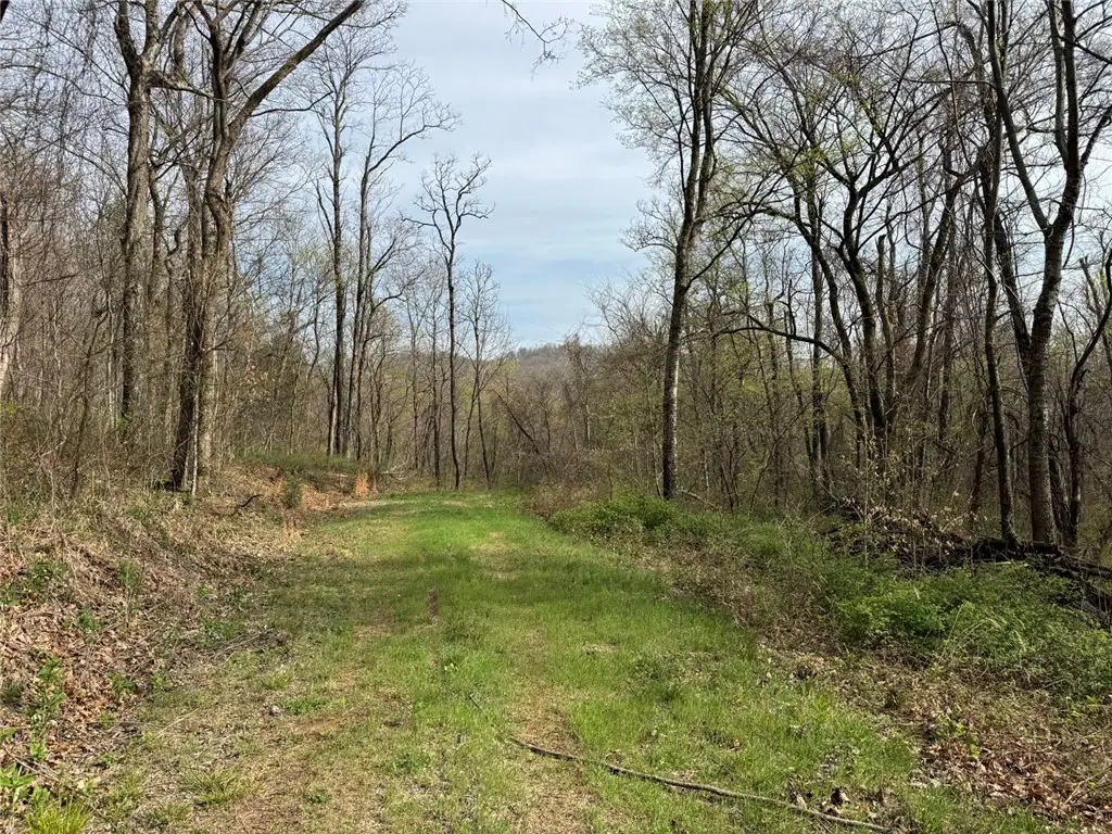 TBD Nc 5083, Mount Judea, AR 72655 - #1