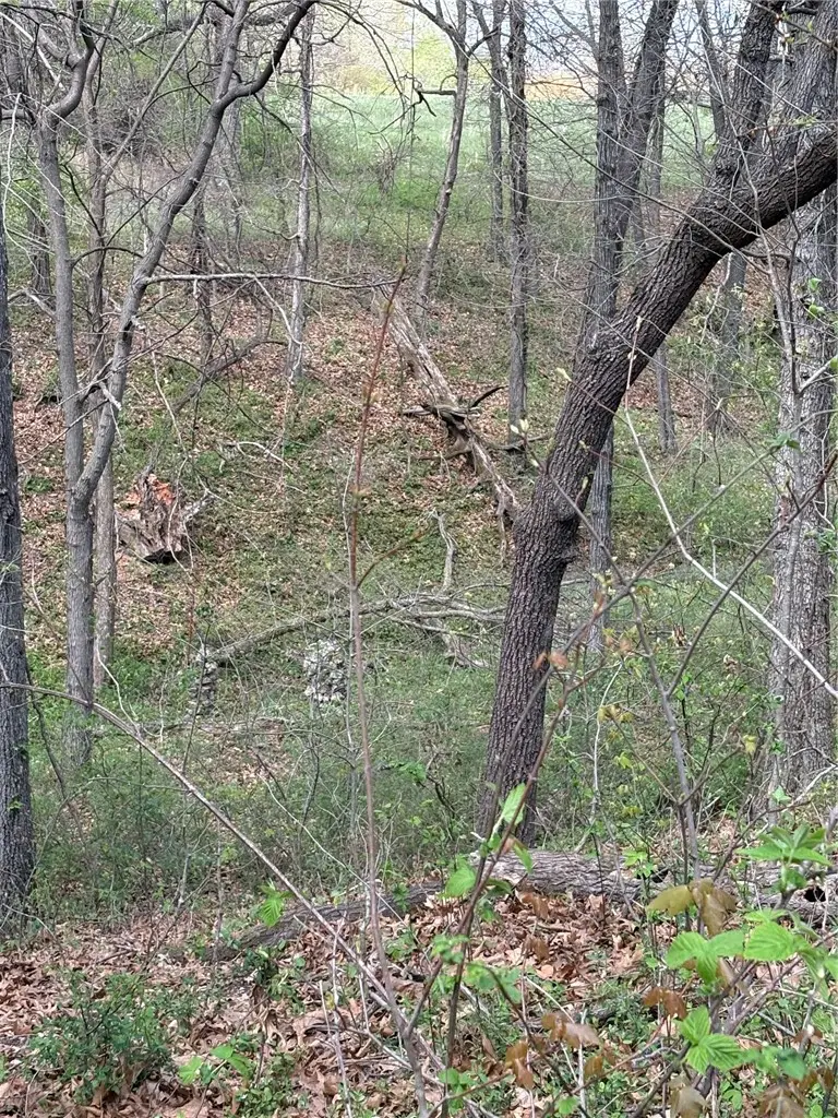 1004 SW Main Street, Highfill, AR 72761 - #2