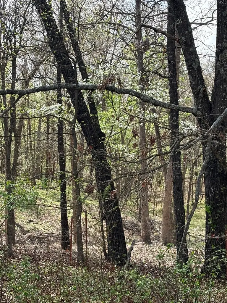 1004 SW Main Street, Highfill, AR 72761 - #3