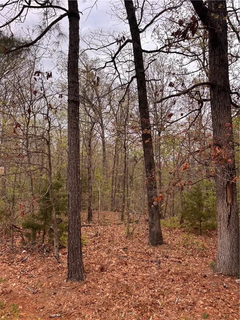 Granshire Drive, Bella Vista, AR 72714 - #2