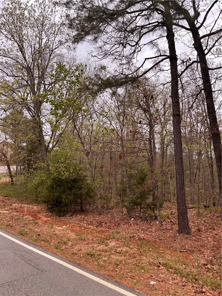 Granshire Drive, Bella Vista, AR 72714 - #3