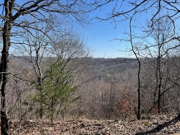 TBD Skylight Mountain, Canehill, AR 72717