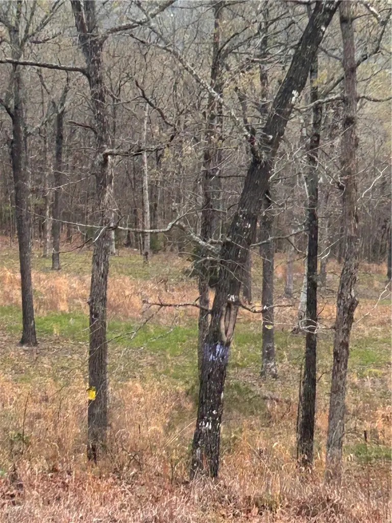 6563 Madison 2340, North Township, AR 72704 - #1