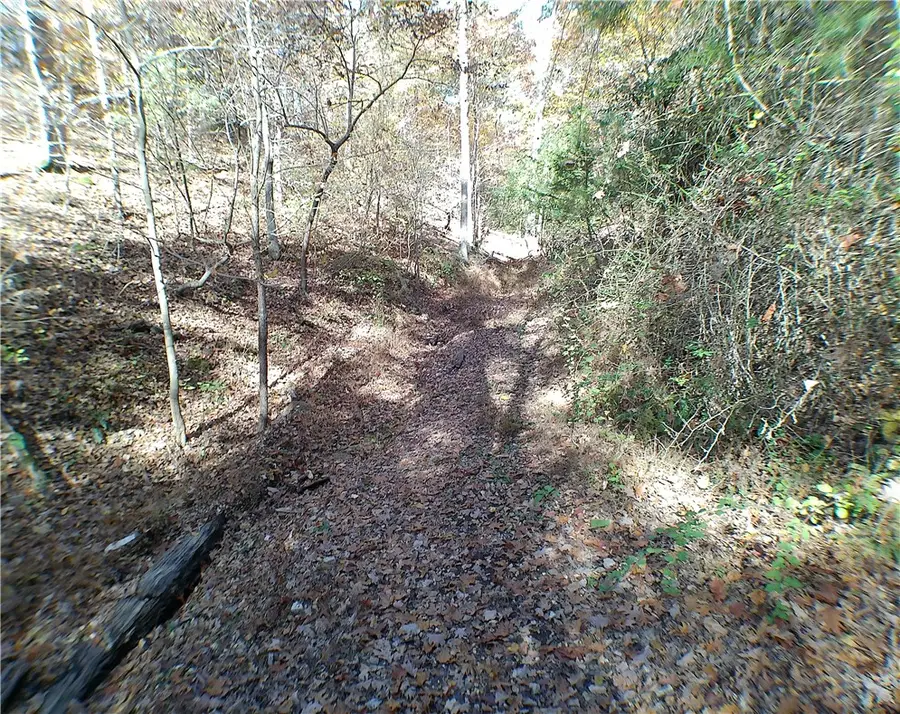 19185 Highway 303, Rogers, AR 72756 - #2