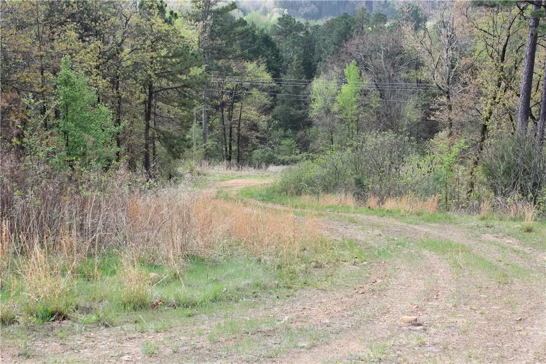 Address Withheld By Seller, Magazine, AR 72943 - #1