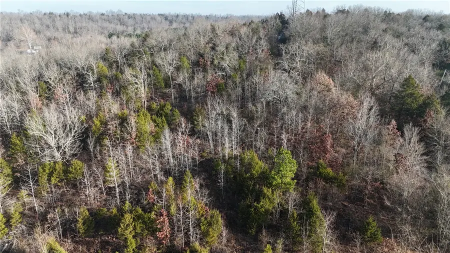 Fallen Tree, Marshall, AR 72650 - #2