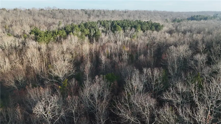 Fallen Tree, Marshall, AR 72650 - #3