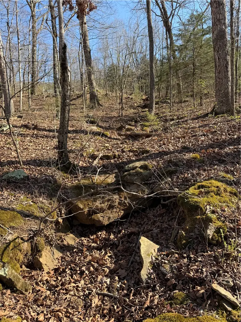 Madison Co 5430 Road, Elkins, AR 72727 - #2