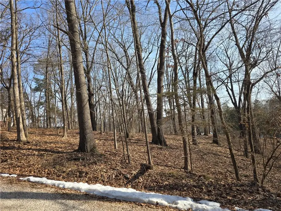 .44 Acres Ellenbarger Wc 516, Springdale, AR 72764 - #2