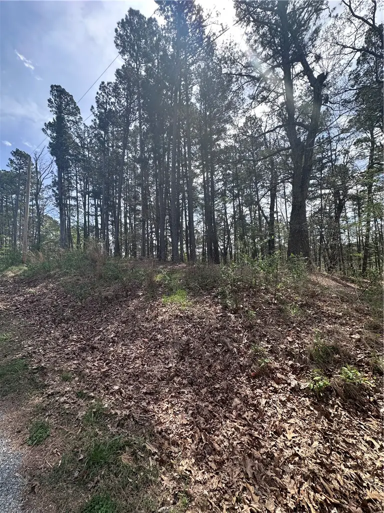 TBD Hallock Drive, Bella Vista, AR 72714 - #2