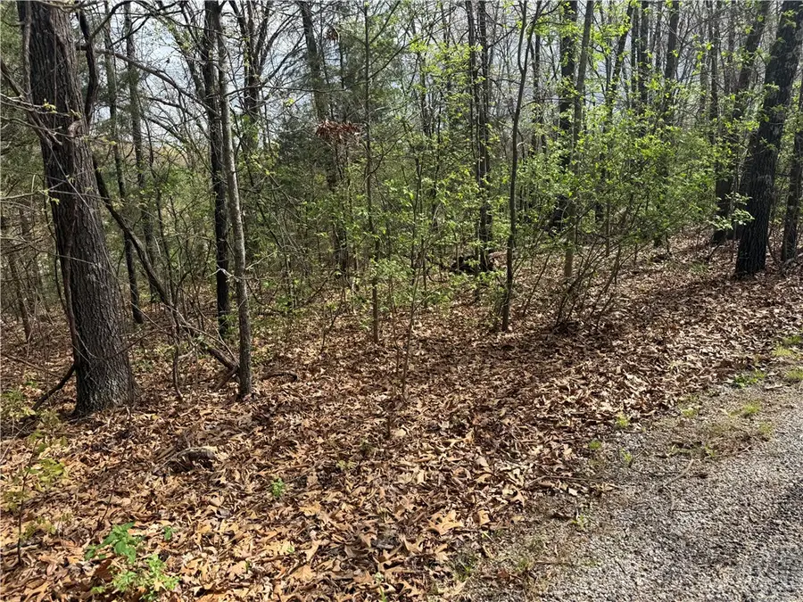 Entry Road, Ridgedale, MO 65739 - #3