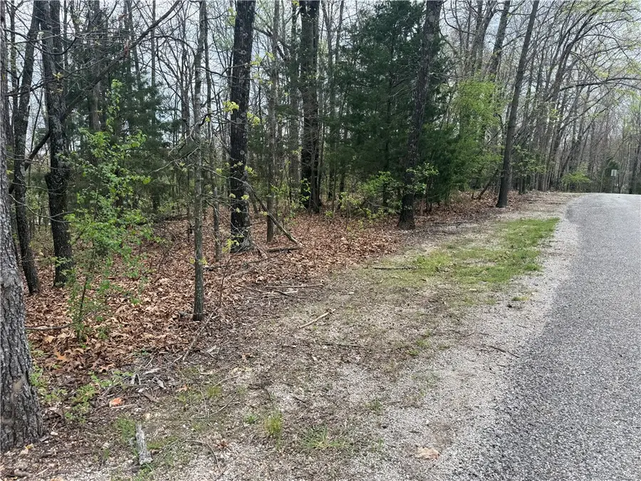 Lot 10 Entry Road, Ridgedale, MO 65739 - #2