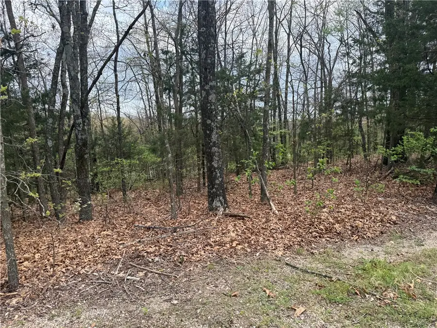 Lot 10 Entry Road, Ridgedale, MO 65739 - #3