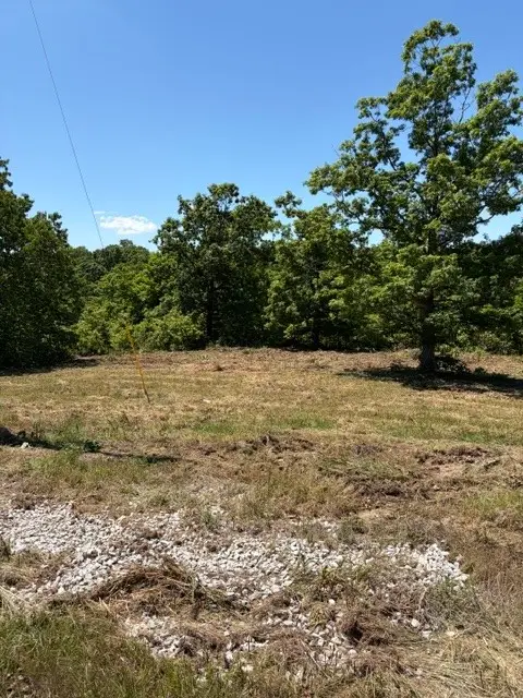 14 Oriole Lane, Noel, MO 64854 - #2