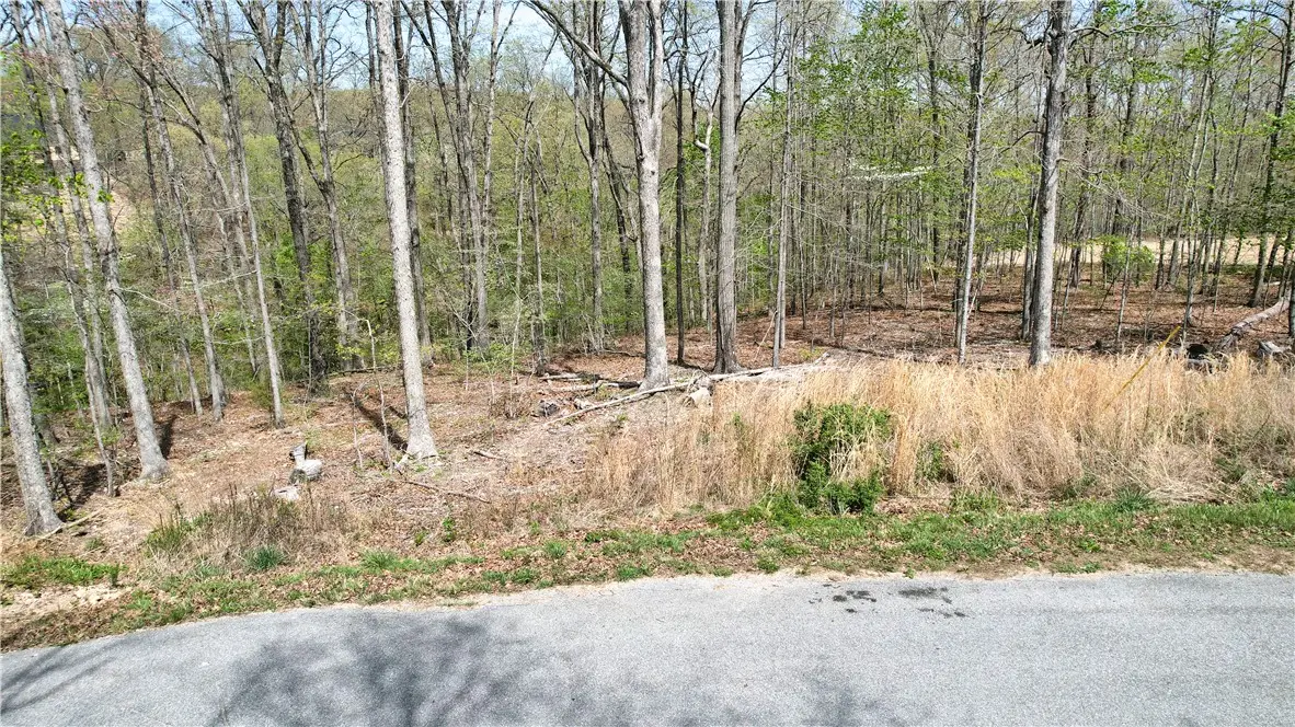 Hamilton Drive, Bella Vista, AR 72715 - #1