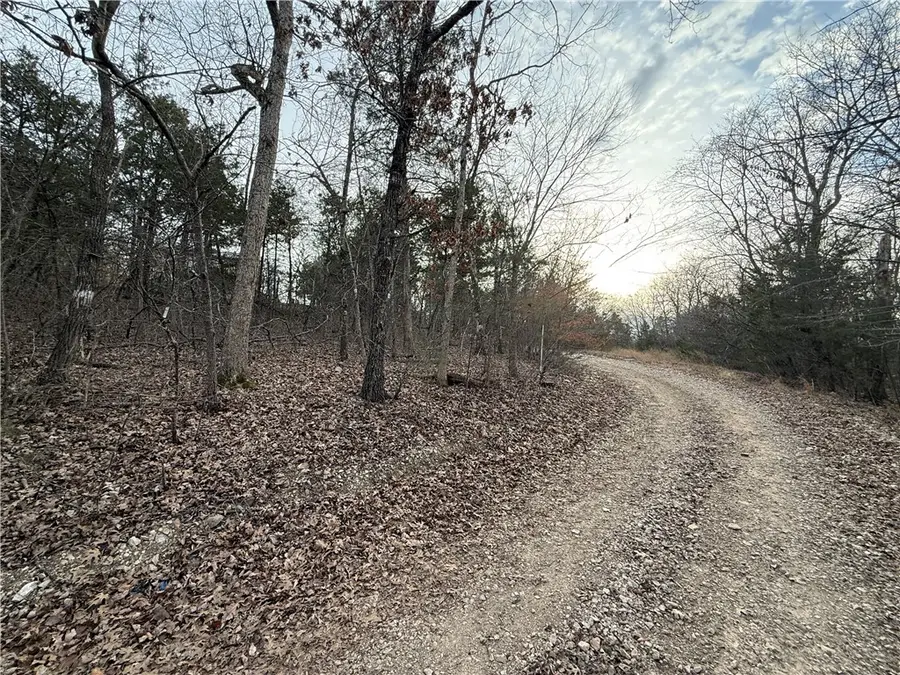 Mallard Drive, Diamond City, AR 72630 - #2