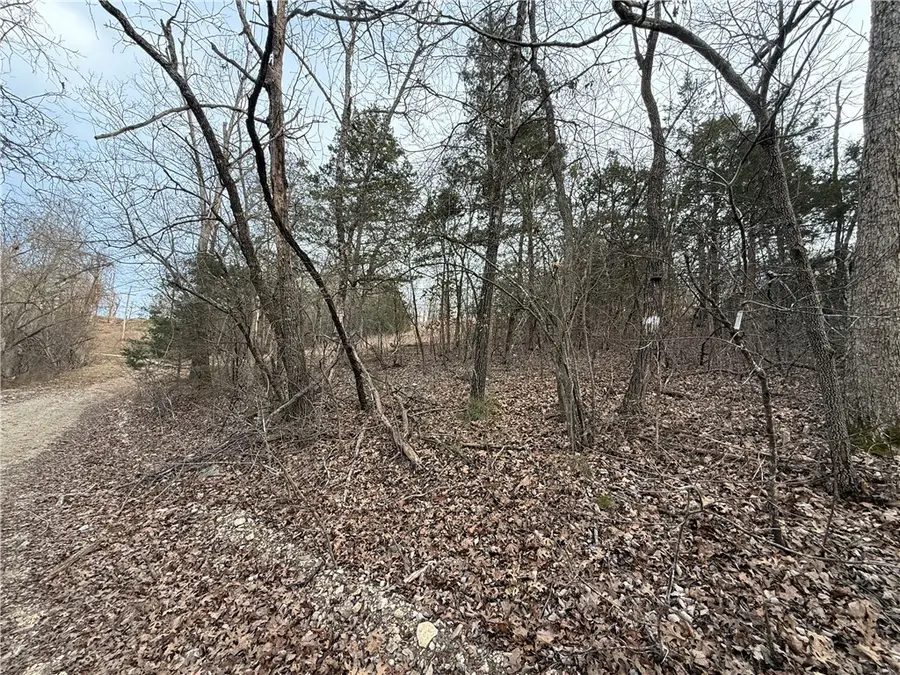 Mallard Drive, Diamond City, AR 72630 - #3