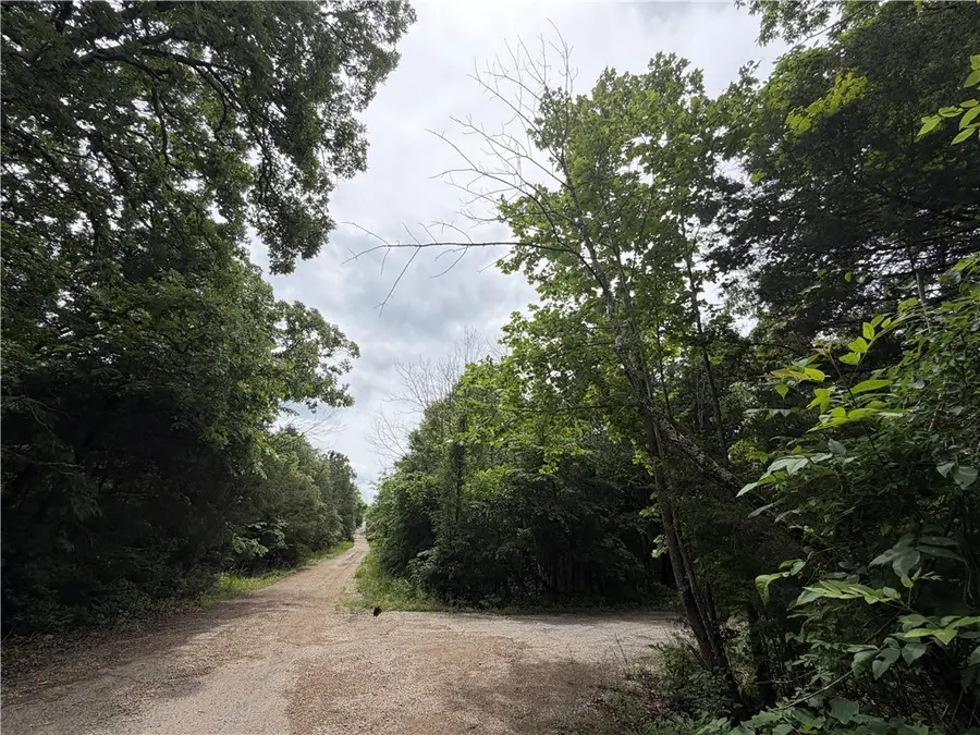 Clark Lane, Horseshoe Bend, AR 72512 - #2