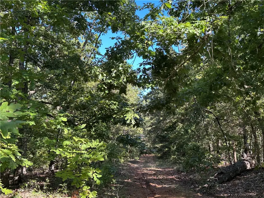 1609 Old Strawbery Lane, Horseshoe Bend, AR 72512 - #2