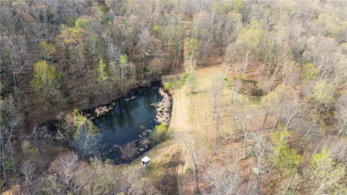 320 Acres Cr 921, Alpena, AR 72611 - #1