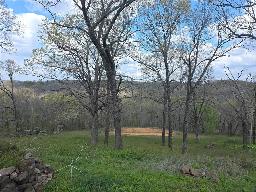 110 Hill Street, Winslow, AR 72959 - #3