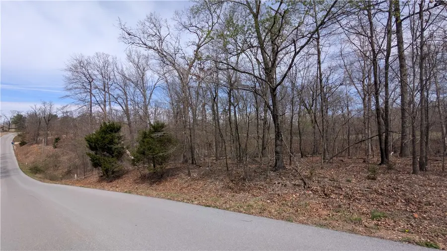 16-39891-000 Kirkpatrick Lane, Bella Vista, AR 72715 - #2