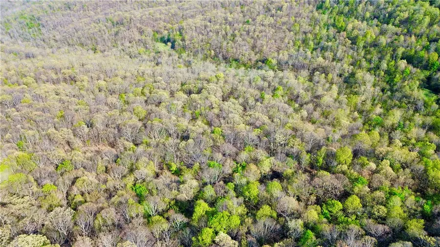 TBD Madison 5555, Huntsville, AR 72740 - #3