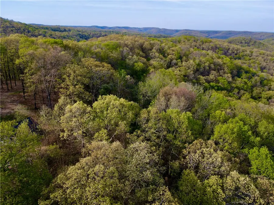 20980 Highway 62, Eureka Springs, AR 72631 - #3