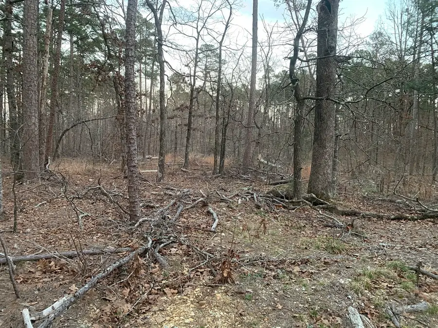 Cima Way, Hot Springs, AR 71909 - #3