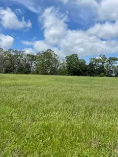 7 Check's Corner Road, Sulphur Springs, AR 72768 - #2