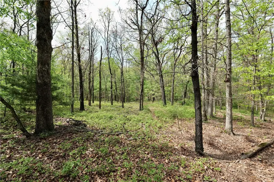 TBD Hummingbird Road, Gravette, AR 72736 - #3