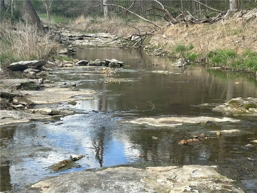 +/- 86 Acres SE El Paso Street, Gravette, AR 72736 - #3