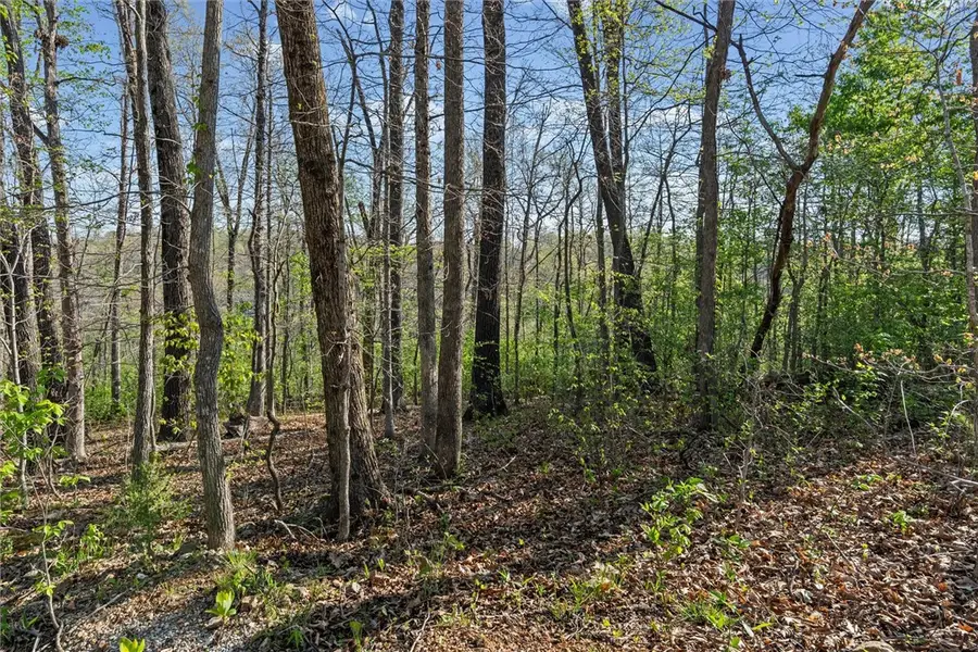 Lot 28 | Block 7 Nottingham Drive, Bella Vista, AR 72715 - #2