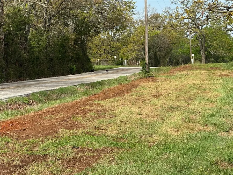 Tract F Old Cincinnati Road, Lincoln, AR 72744 - #2